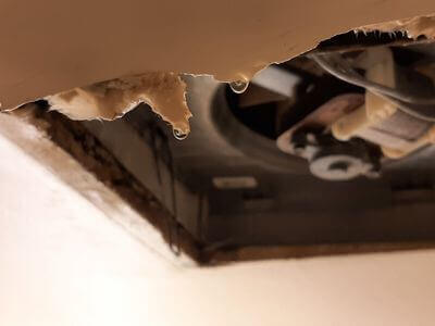 Professional emergency water extraction services services in Summit